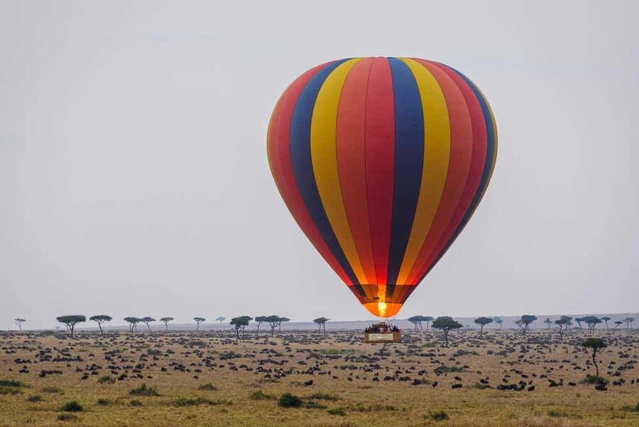 Johannesburg: Hot Air Balloon Flight - Sixty minutes above the Magaliesberg