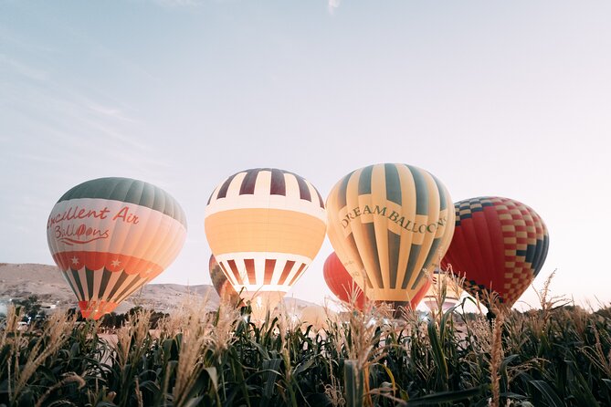 Luxury Balloon Ride in Luxor with Hotels Pickup - Is $39.90 good value?