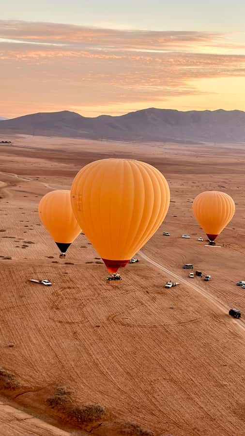 Marrakech: Balloon Flight, Berber Breakfast, and Camel Ride - Key points to know before booking