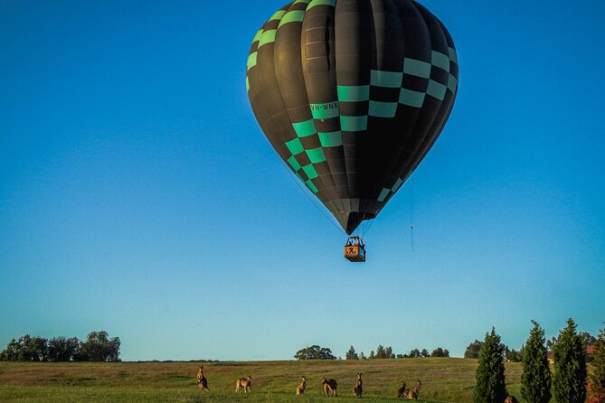 Midweek Hot Air Balloon Flight at Hunter Valley - A very early start in Pokolbin