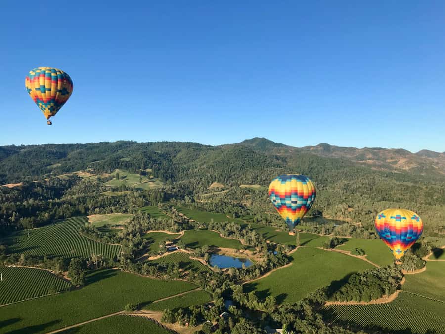 Napa Valley: Hot Air Balloon Adventure - Landing and the End of the Morning
