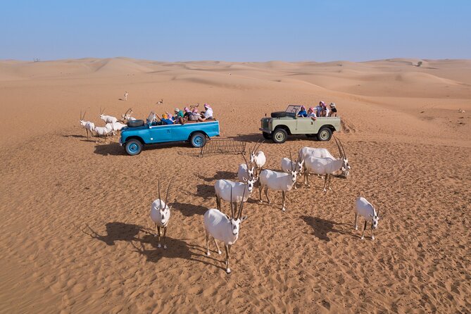 Overnight Safari and Sunrise Hot-Air Balloon Ride - What $820.57 per person really buys