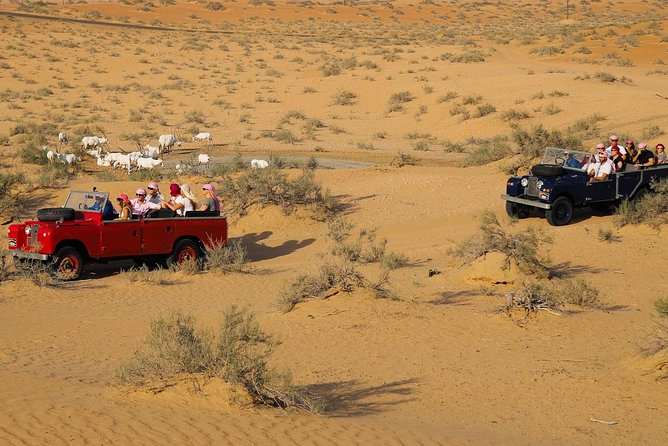 Overnight Safari and Sunrise Hot-Air Balloon Ride - Who will enjoy this desert night most