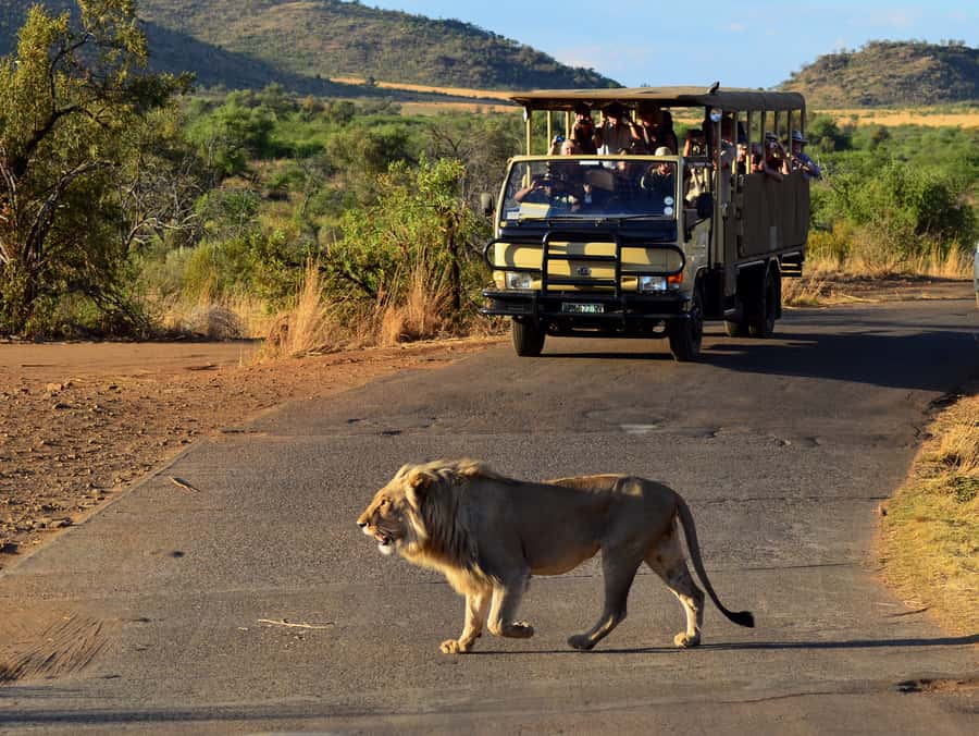 Pilanesberg National Park/Sun City Hot Air Balloon Safari - Breakfast at a private lodge