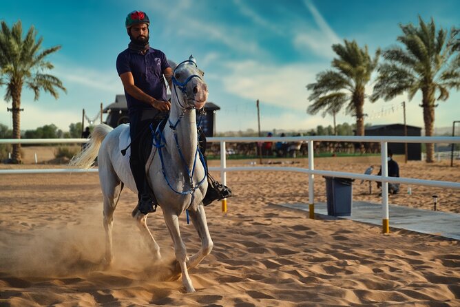 Premium Hot Air Balloon, Breakfast, Camel Ride, Quad Bike & More - What happens after landing at the Bedouin camp