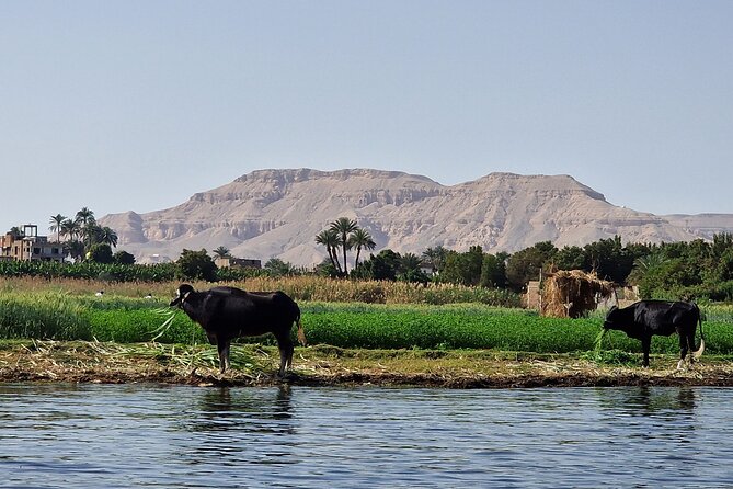 Private Luxor Overnight Tour with Hot Air Balloon from Hurghada - Hatshepsut Temple and the Colossi of Memnon