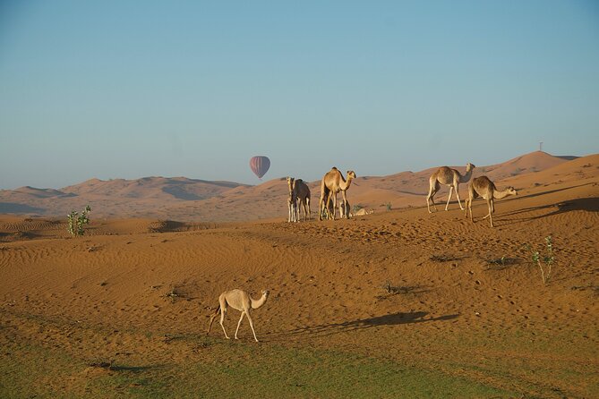 RAK Hot Air Balloon Flight - The 50 to 70 Minute Balloon Flight