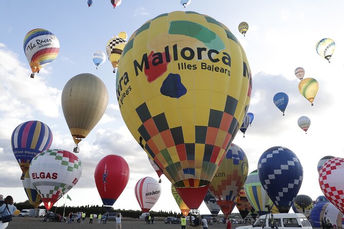 Romantic Sunrise Balloon Tour in Majorca - Landing in a field, then helping pack the balloon