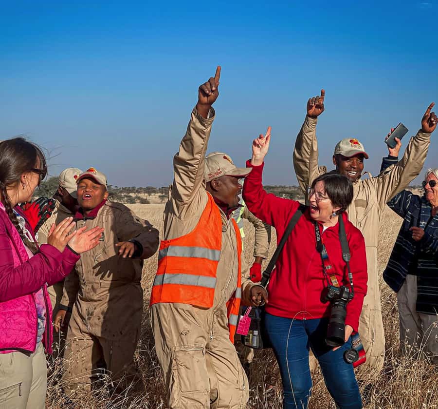 Serengeti Balloon Ride and Luxury Bush Breakfast - Key points at a glance