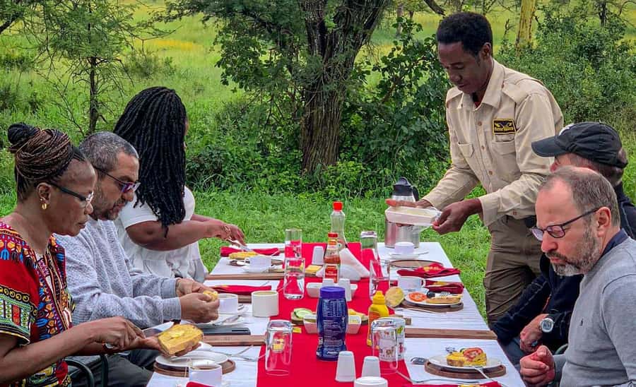 Serengeti Balloon Ride and Luxury Bush Breakfast - Why a balloon changes the Serengeti view