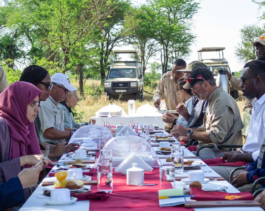 Serengeti Balloon Ride and Luxury Bush Breakfast - Is $550 a fair price?