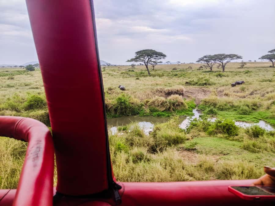 Serengeti Balloon Ride and Luxury Bush Breakfast - Practical ways to prepare