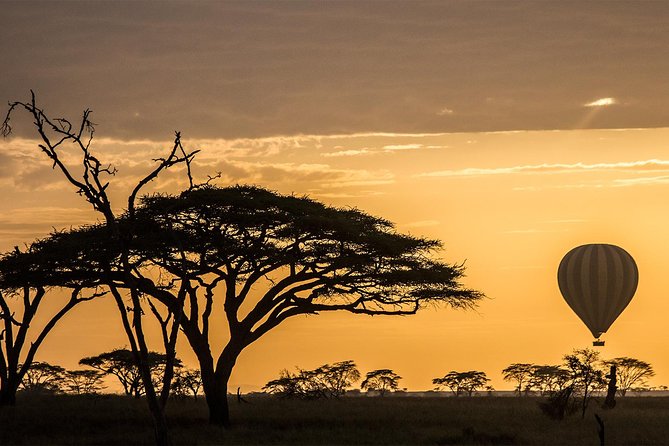 Serengeti Balloon Safari and authentic bush breakfast - What the balloon flight actually feels like
