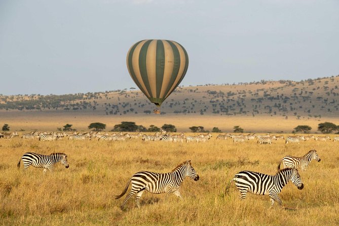 Serengeti Balloon Safari and authentic bush breakfast - The landing is only half the morning