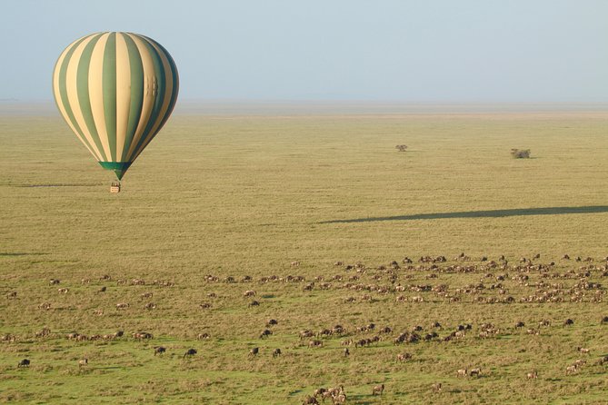Serengeti Balloon Safari and authentic bush breakfast - Is $550 a fair price?