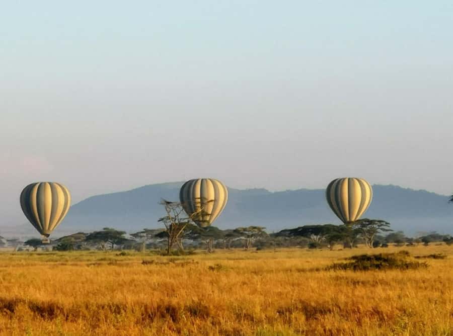 Serengeti: Hot Air Balloon Flight with Champagne Breakfast - What $530 really buys you