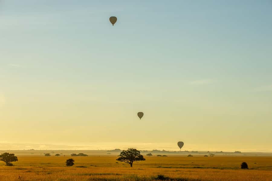 Serengeti National Park: Balloon Safari at Dawn - The landing, toast, and transfer