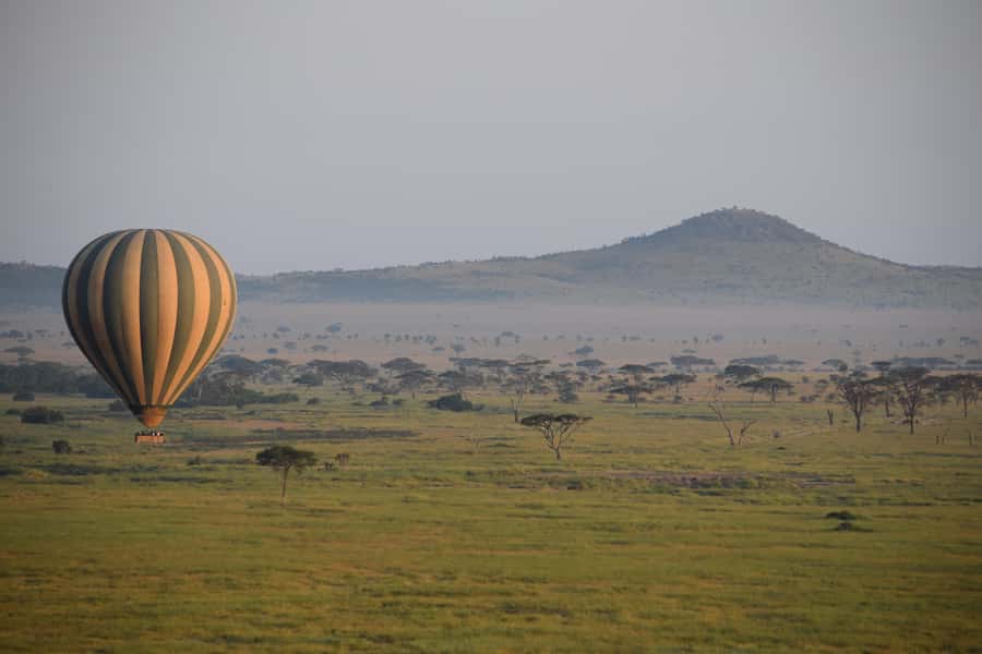 Serengeti National Park: Balloon Safari at Dawn - Languages, timing, and booking flexibility