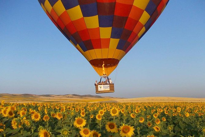 Seville Hot-Air Balloon Ride with Breakfast, Cava & Hotel Pick up - Key details before you book