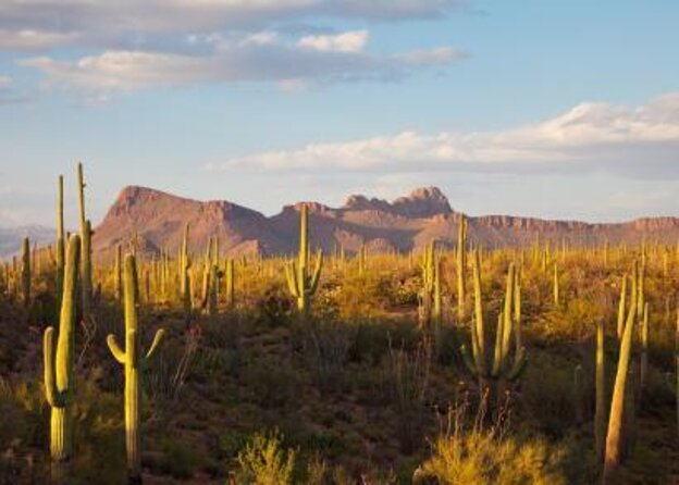 Sunset Hot Air Balloon Ride Over Phoenix - Key points before you book