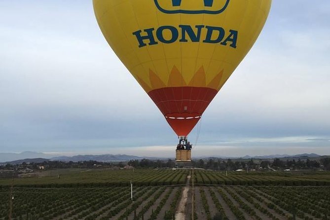 Temecula Shared Hot Air Balloon Ride - What is really included for $165