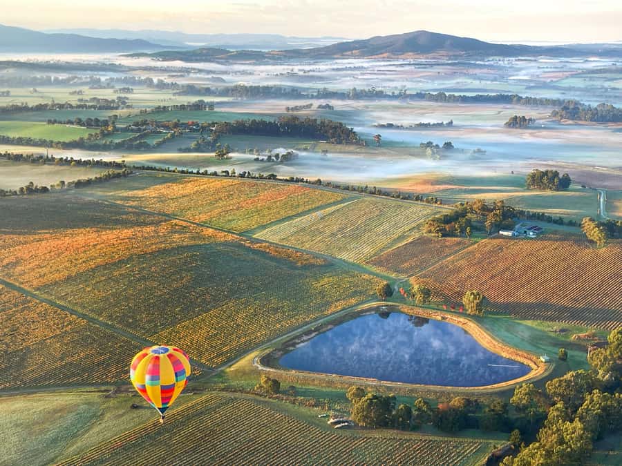 Yarra Valley: Hot Air Balloon with Breakfast & CBD Transfers - What the one-hour flight feels like