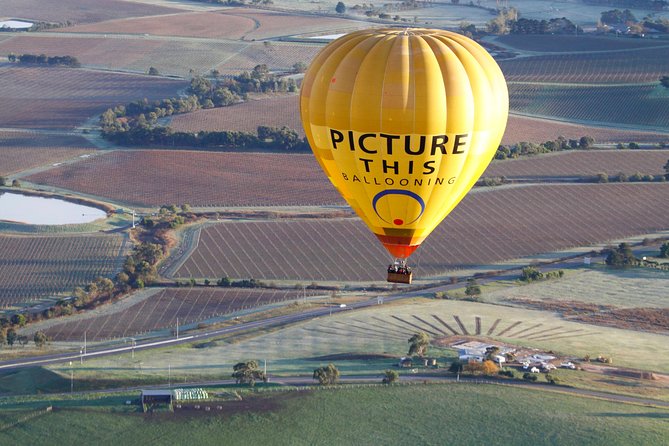 Yarra Valley sunrise balloon flight & champagne breakfast - What the balloon flight feels like